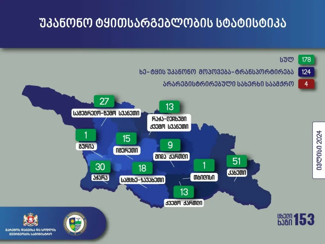 Number of cases related to illegal forest use in Georgia increases