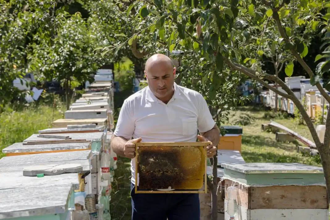 Otar Shamugia introduces beekeeping support program