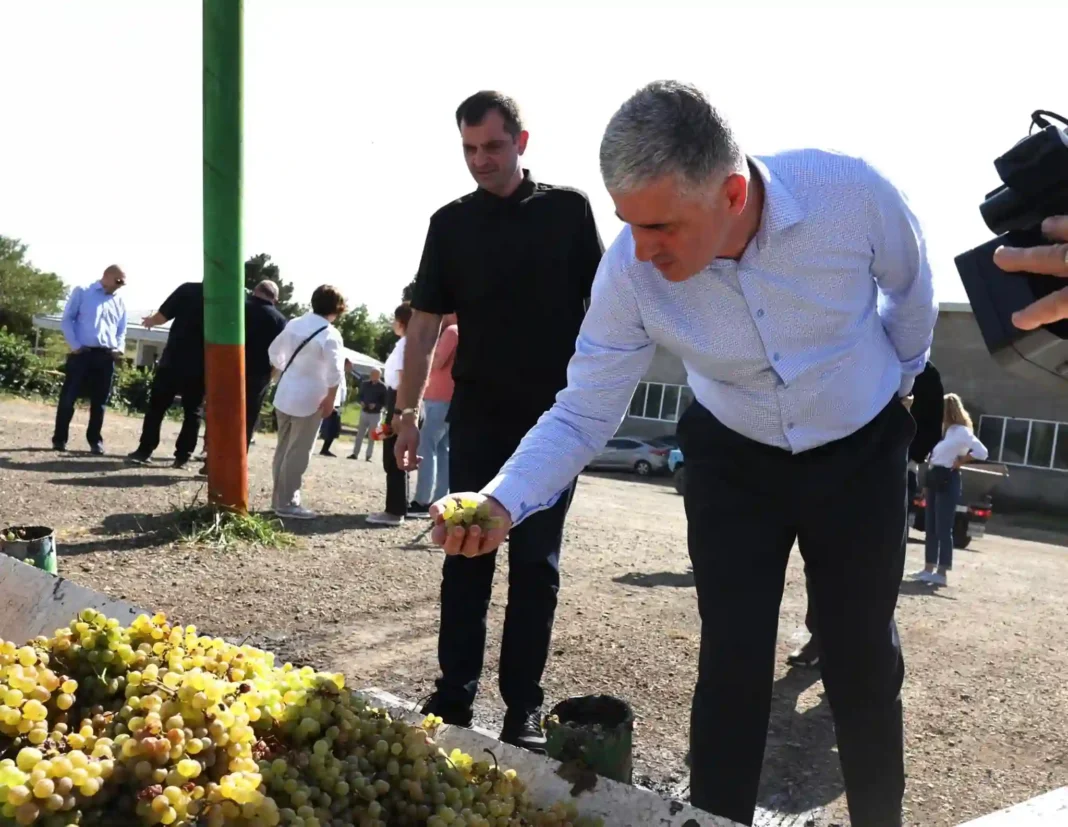 Otar Shamugia visited grapes processing unit in Akura credit: Facebook