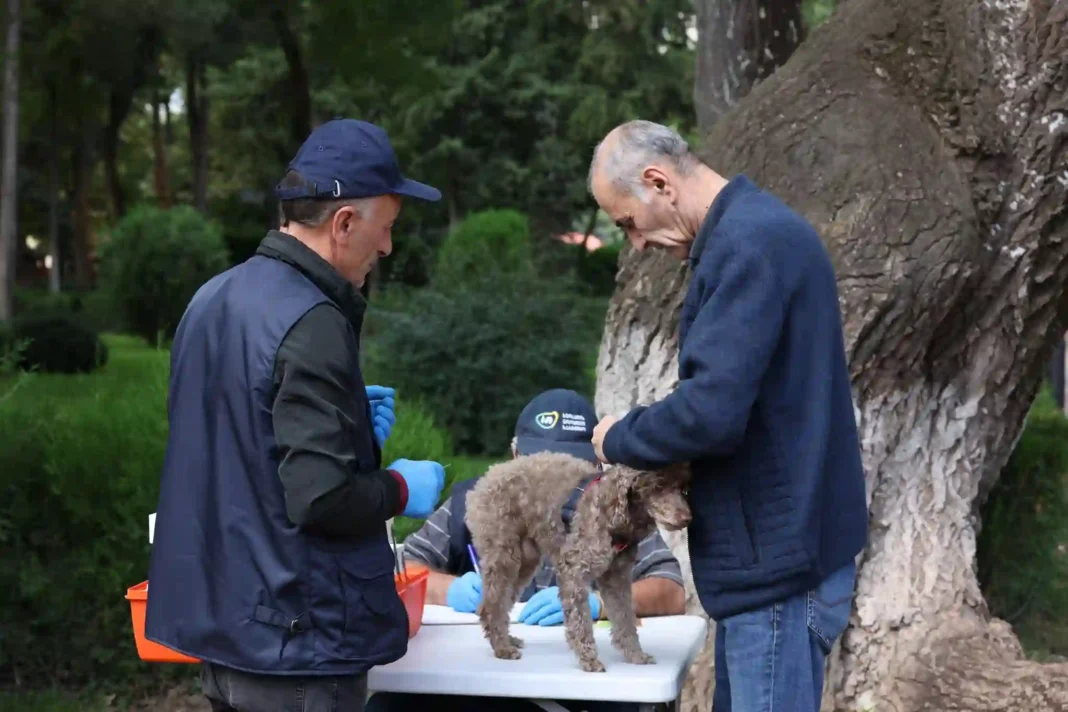 Georgia observes World Day of Fight against Rabies