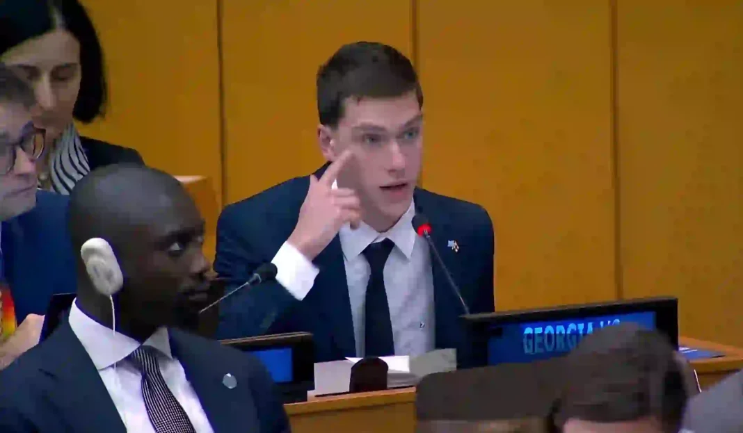 Nodar Bokeria speaks at UNGA’s third committee session credit: Facebook/youth agency