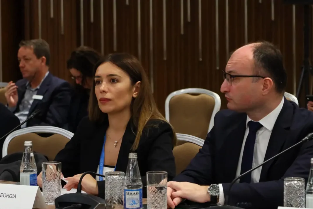 Tackling climate change is our collective responsibility: Nino Tandilashvili credit: Facebook