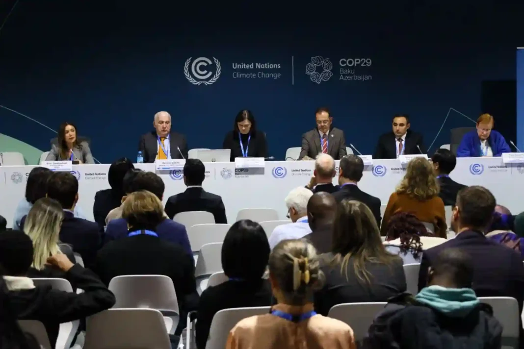 Nino Tandilashvili speaks at high-level conference COP 29 in Baku