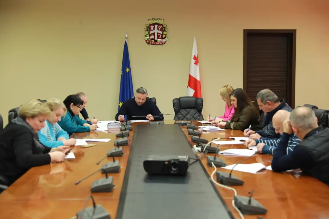 Medical and Social Issues Commission meeting held under Tamaz Folodashvili