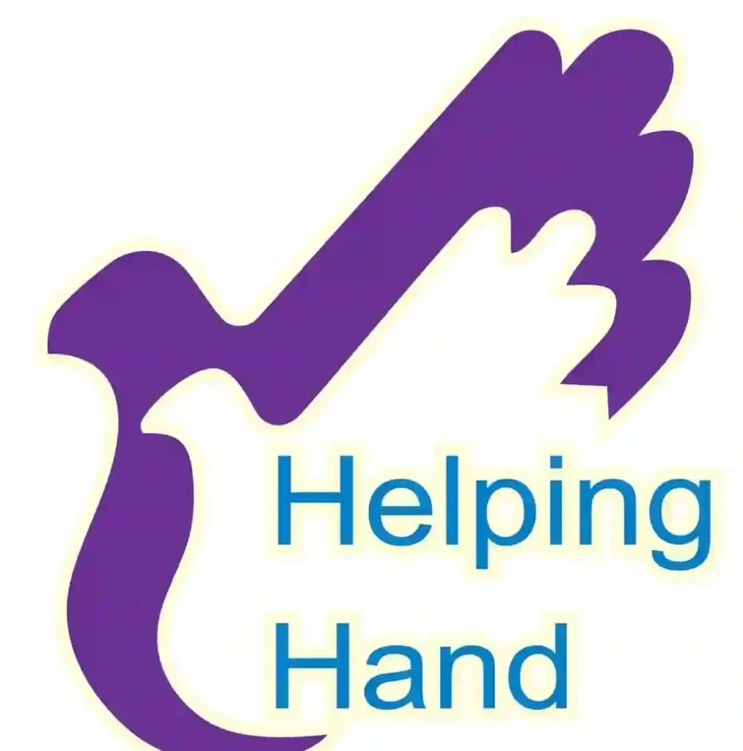 NGO helping hands to implement large scale volunteer project