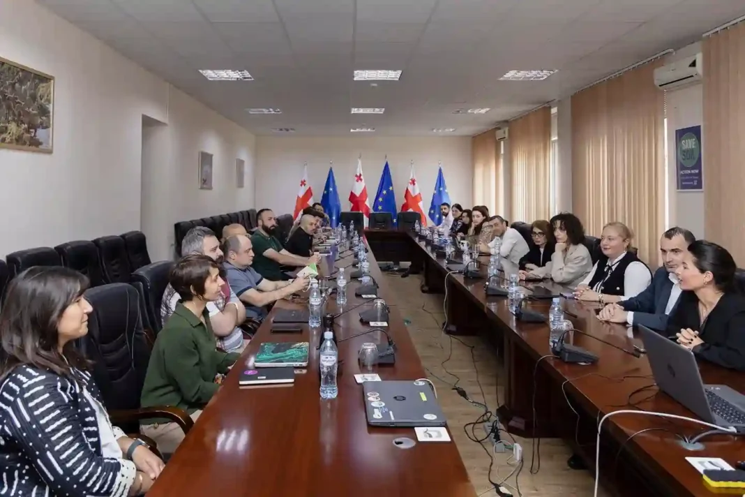Georgian International Experts meets with governmental and NGO representatives