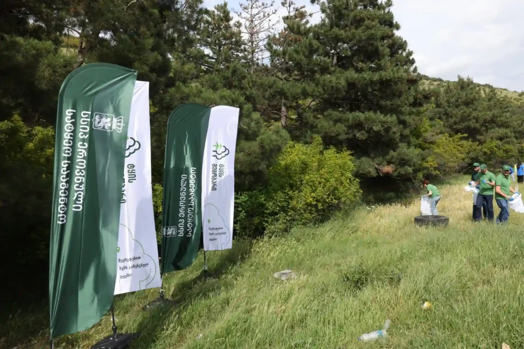 Georgia celebrates World Environment Day on June 5