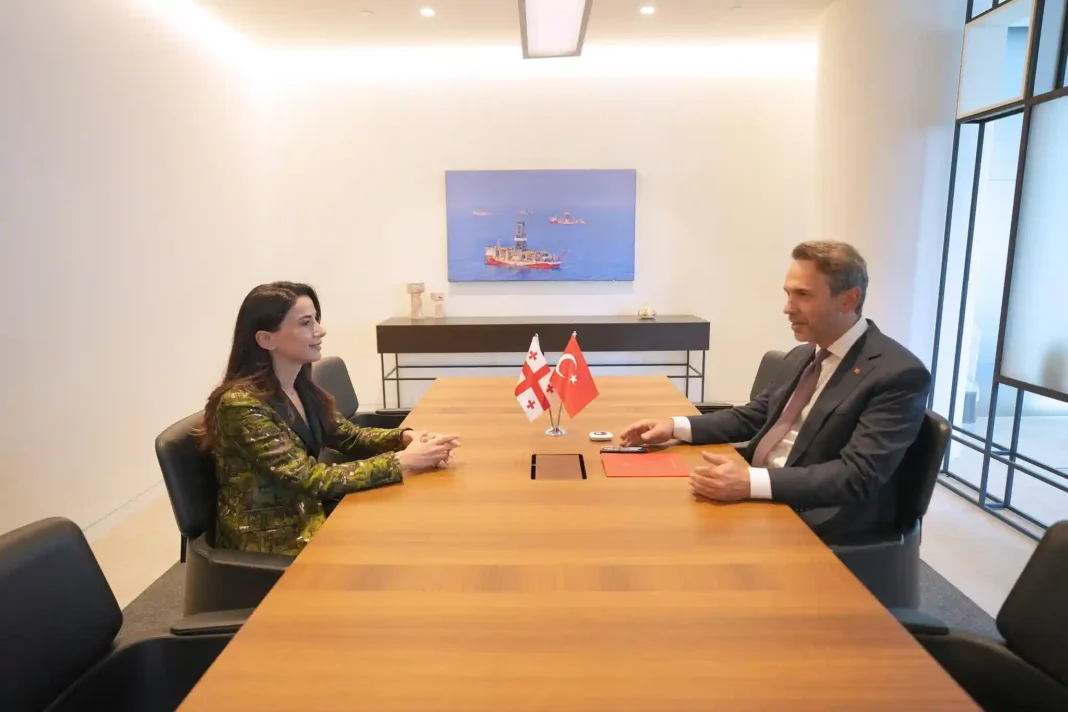 Georgia and Turkey Strengthen Energy Ties with New Cooperation Plans