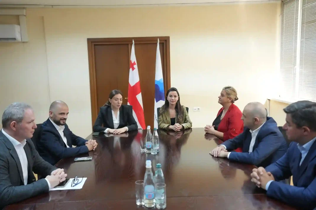 Ekaterine Sisauri apponits new CEO of Georgian Oil and Gas Corporation