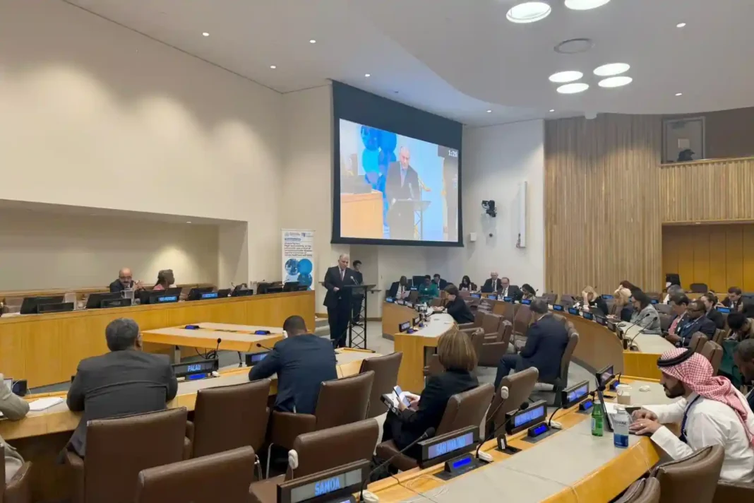 Georgia’s Health Minister presents report at UNGA Summit