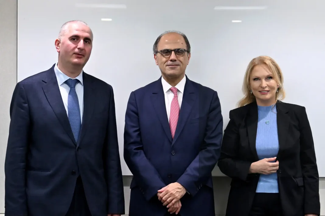 Georgia discusses economic cooperation and policies with IMF