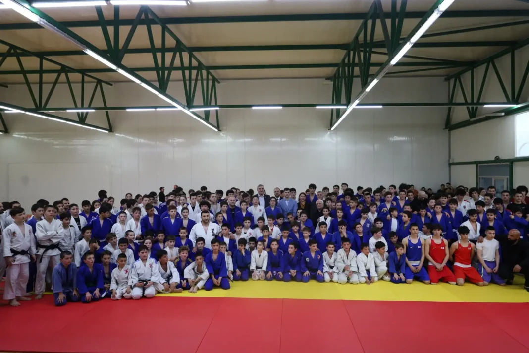 Georgia prepares athletes for Youth Olympic Festival in Rustavi