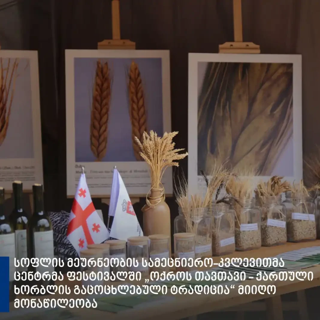 Golden Head Festival Celebrates Georgian Wheat Heritage