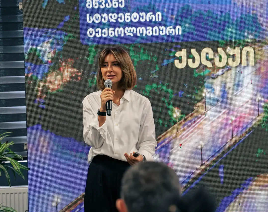 Rustavi presents Smart City Development Plan
