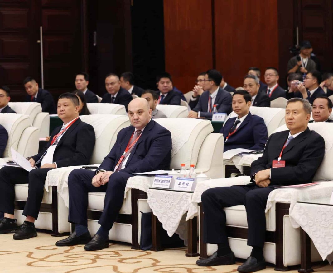 Georgia and China discuss strengthening cooperation between Police Forces